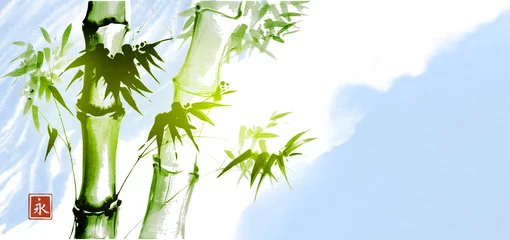 Grüner Bambus auf Hintergrund des blauen Himmels. Traditionelle japanische Tintenwaschmalerei Sumi-e. Zeichen - Ewigkeit. © elinacious