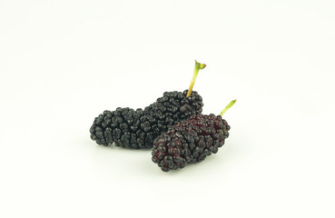 ripe mulberry fruit on white background
