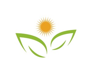 Obraz premium green leaf ecology nature element vector icon of go green