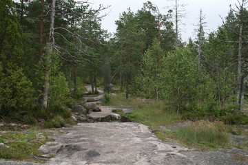 ヨーロッパ、初夏、夏、森、おもちゃ、海