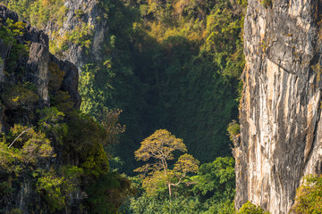 Close-up view of the tropical nature of Hong island, textured limestone rocks, cliffs and vegetation on a sunny day