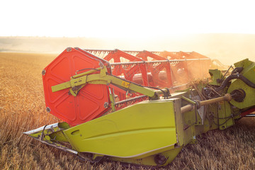 Panorama of Combine harvester close up. Combine harvester harvesting wheat at sunset .