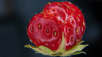 Makro einer Erdbeere