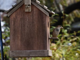 Moving into a new home