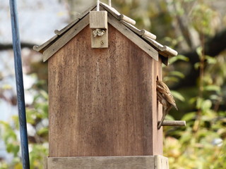 Moving into a new home