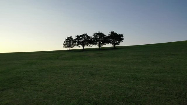 Vier B&auml;ume auf einem Berg bei Sonnenaufgang im Schwarzwald mit Panorma