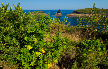 L'Illa Grossa, Reserva Natural Islas Columbretes, Mar Mediterráneo, Castellón, Comunidad...
