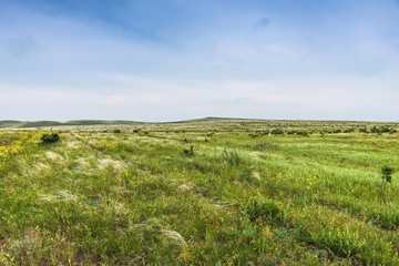 Crimea steppe- landscape park. Kerch peninsula