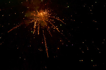 Colorful fireworks on dark  background. - Image