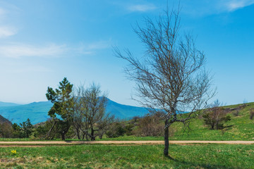Crimea nature reserve - the road to traveln
