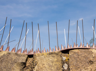 Anti-climb spikes deter entry to a property
