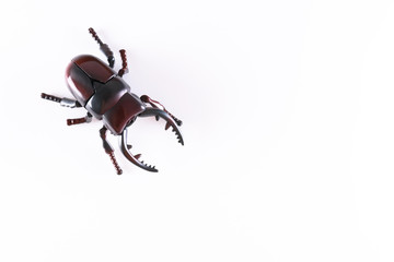 False plastic beetle in white background