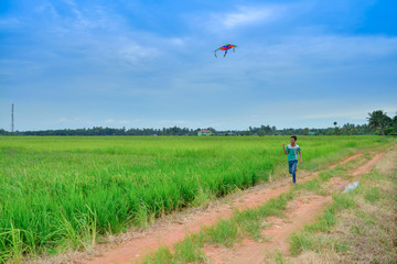 Obraz premium Two friends playing with kite at paddy field in the evening