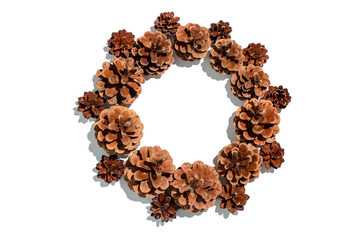 Pine cones frame