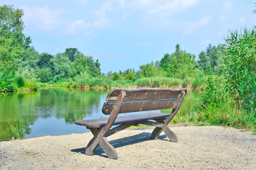 Wooden bench on the lake shore, on a background of green forest and blue sky