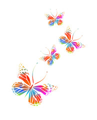 Colorful butterflies on a white background. Vector illustration