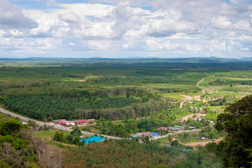Fototapeta na wymiar Tropical village, view above