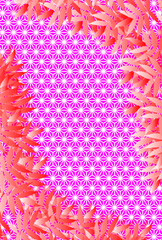 #Background #wallpaper #Vector #Illustration #design #image #Japan #china #Asia #free_size #背景 #壁紙 #ベクター #イラスト #デザイン #無料 #無料素材 #バックグラウンド #フリー素材 #イメージ #和風素材 #日本 麻葉模様,七夕祭り,夏,ベクター,無料,フリーサイズ,イベント広告宣伝ポスター