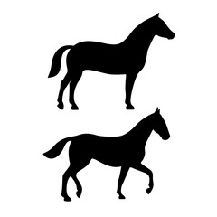 Standing and walking horse silhouette icon
