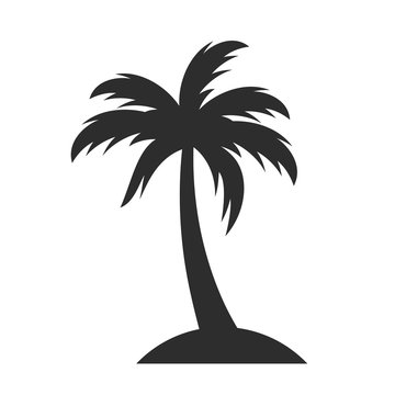 Palm vector icon