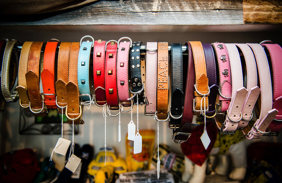 Colorful dog collars for sale at a pet shop