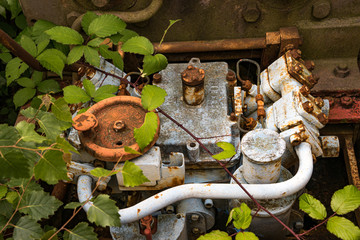 Überwucherte Indusrieanlage