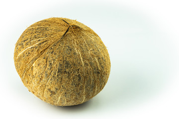 Closeup coconut, organic tropical fruit, hard white of large nut with hollow center filled with milky juice, popular fruit use for Thai cooking and many kind of dessert isolated on white background.