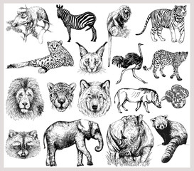 Big set of hand drawn sketch style wild animals isolated on white background. Vector illustration.