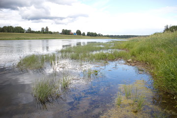 River in the countryside on a summer day
