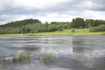 River in the countryside on a summer day