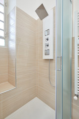 Shower interior with shower column in renovated apartment