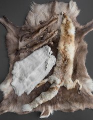 texture brown animal fur, background skins