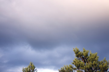 clouds over trees on a summer day