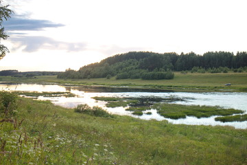 River landscape summer sunny evening