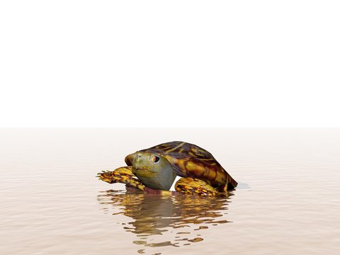 brown turtle in the ocean - 3d rendering