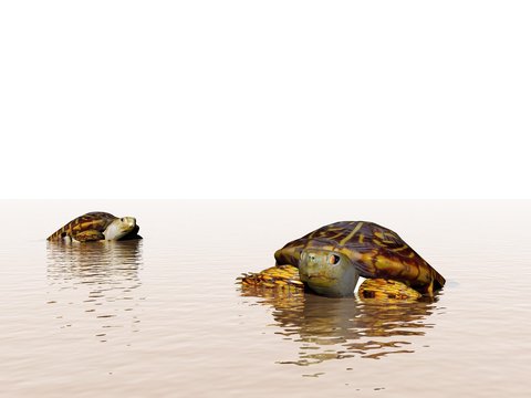 brown turtle in the ocean - 3d rendering