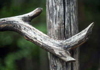 The old cracked wooden curve beam nailed to a fence post.
