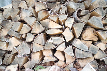 birch firewood stacked in a woodpile