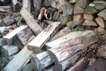 birch firewood stacked in a woodpile