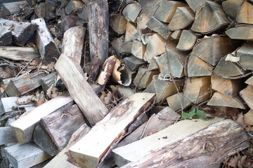 birch firewood stacked in a woodpile
