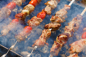 Closeup cooking shashlik on the mangal in nature