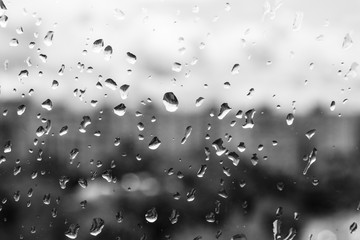 Drops of rain on the glass. Black and white summer photo