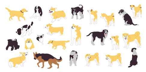 Set of different dogs. Big collection of dog breeds. Isolated on white background. Flat style cartoon stock vector