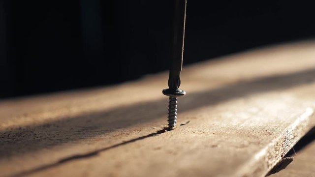 man the worker tightens the screw with a screwdriver. Screws screwdriver twist in wooden board. Joinery and construction work close up. lifestyle screw out the screw
