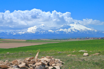 View from the green valley to the snowy peaks of the mountains in Cappadocia.