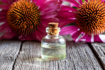 A bottle of echinacea essential oil and flowers