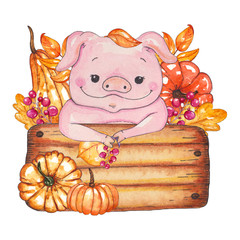 Hand painted watercolor autumn composition isolated on white background. Colored leaves, pumpkins and pig in box. It is perfect for thanksgiving cards, halloween design, decoration, prints, etc.