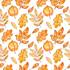 Hand painted watercolor autumn leaves seamless pattern. It is suitable for thanksgiving cards or wrapping paper, halloween design, recipe or menu, background, wallpaper..