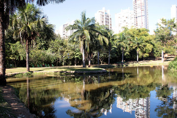 Fototapeta na wymiar park with lake and coconut trees