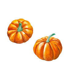 Pumpkin by a watercolour.On isolated white background. Watercolor postcard, illustration